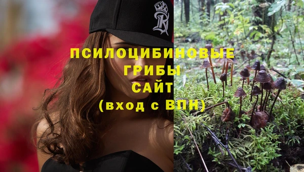каннабис Алексеевка