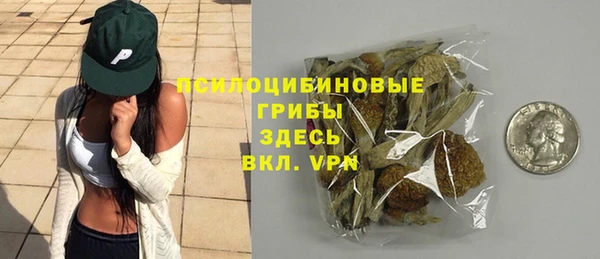 таблы Алзамай