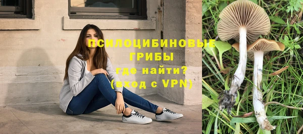 каннабис Алексеевка