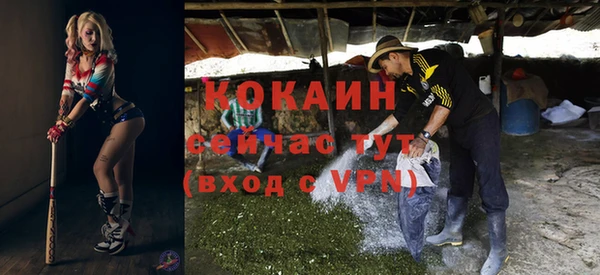 шишки Алексин