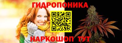 дживик Брянск