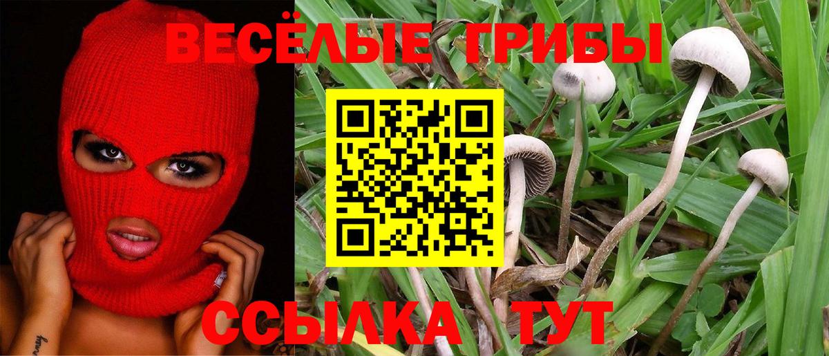 Салават  Галлюциногенные грибы MAGIC MUSHROOMS  Вход с VPN  Псилоцибиновые грибы MAGIC MUSHROOMS 